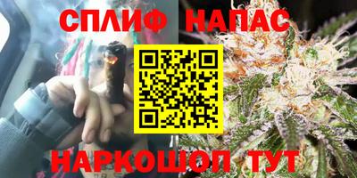 молекула духа Кинель