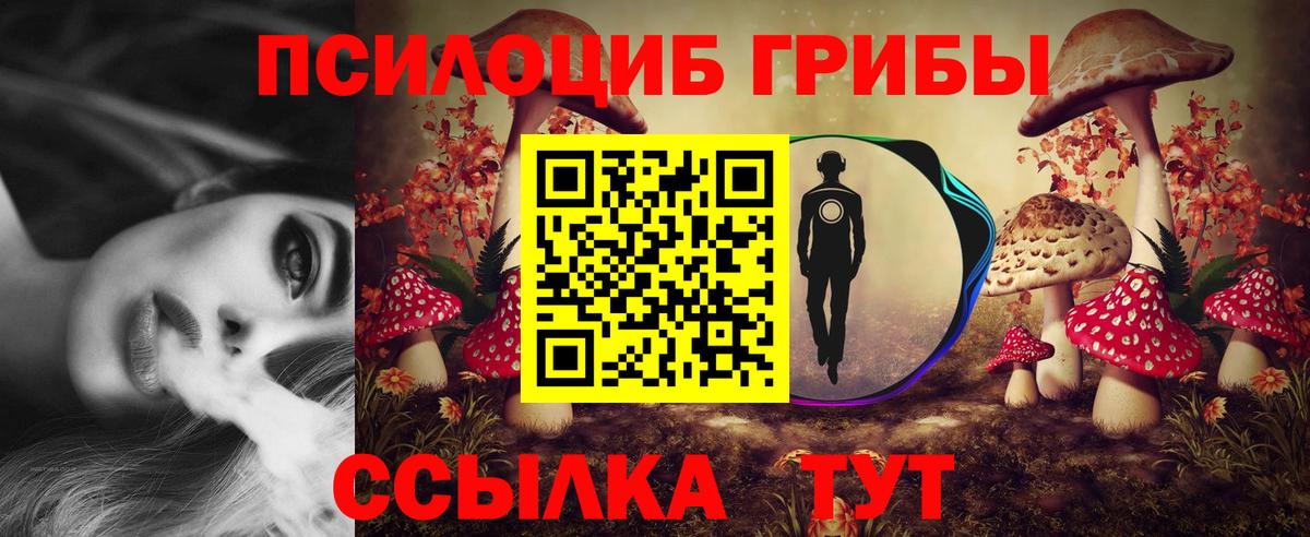 закладка  Галлюциногенные грибы MAGIC MUSHROOMS  Вход с VPN  Галлюциногенные грибы мицелий  Добрянка 