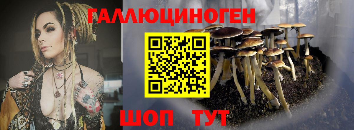 Псилоцибиновые грибы прущие грибы Добрянка